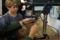 Bienenhotels herstellen