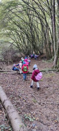 Ausflug der Bärenklasse zum Burbacher Waldweiher