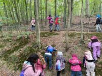 Ausflug der Bärenklasse zum Burbacher Waldweiher